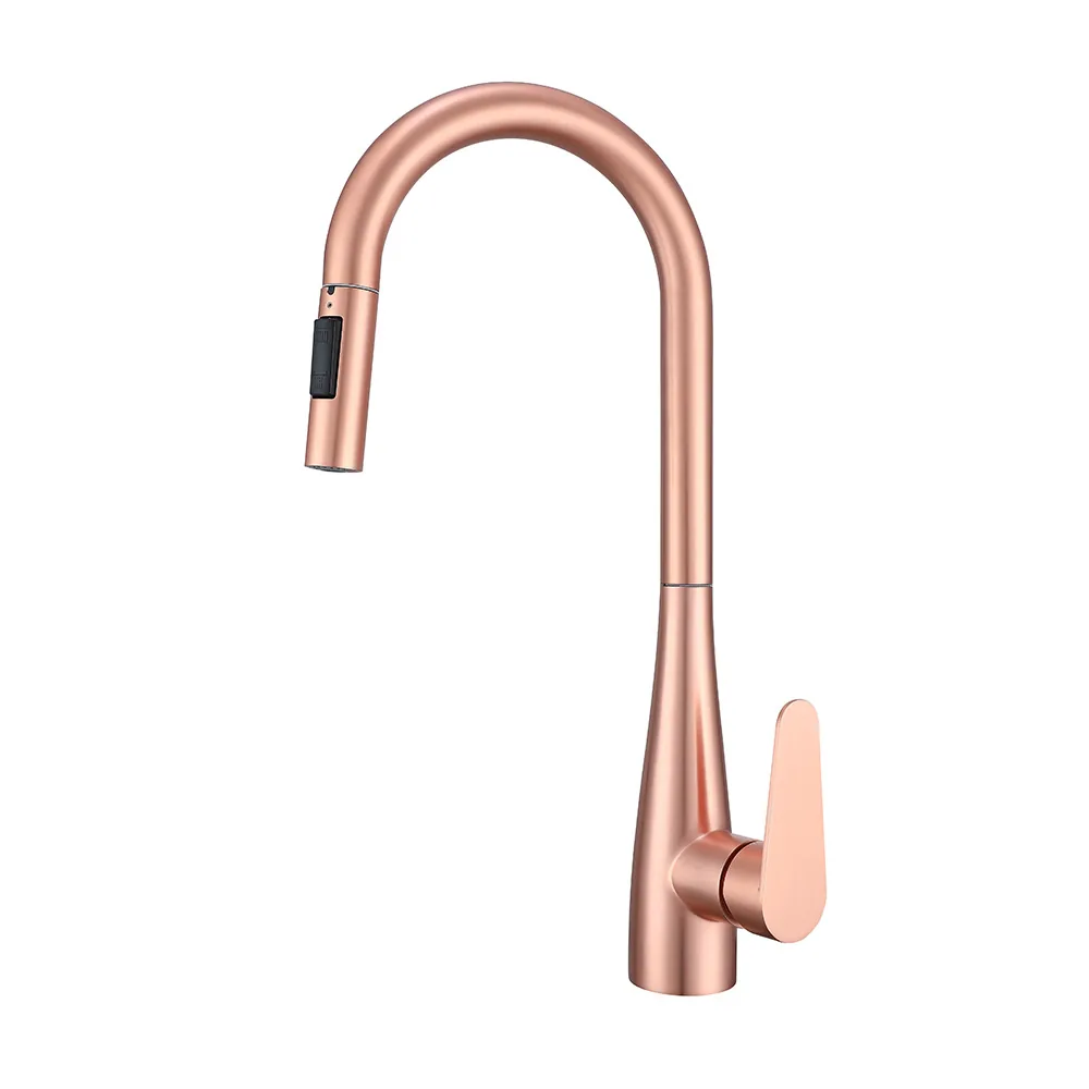 QZ0201 Pull-out Faucets