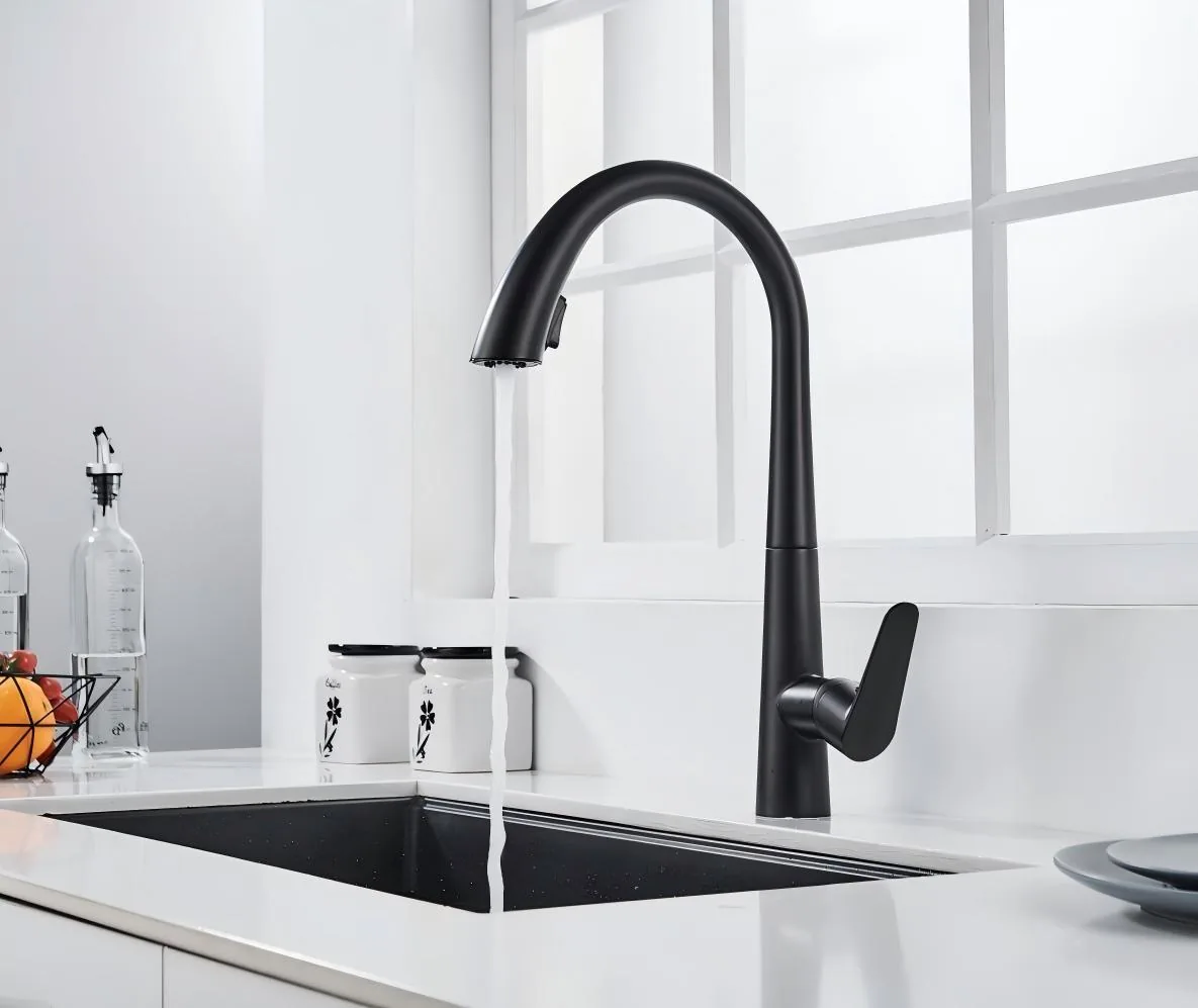 QZ0216 Pull-out Faucets