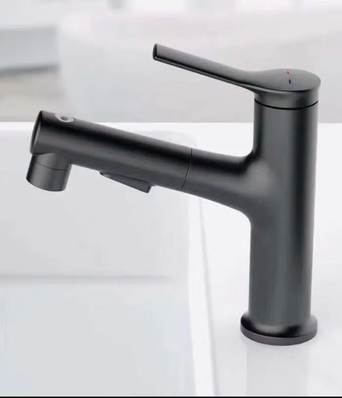 QZ0218 Pull-out Faucets