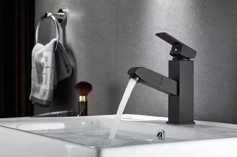 QZ0224 Pull-out Faucets
